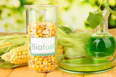 Burton Overy biofuel availability